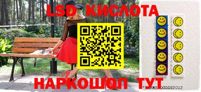 прущие грибы Новодвинск