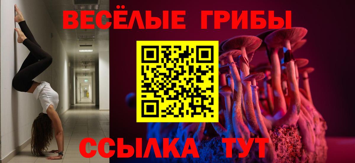 Псилоцибиновые грибы MAGIC MUSHROOMS  Вход с VPN  Ростов Великий 